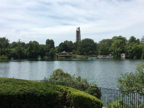 Paddle Boat Rides