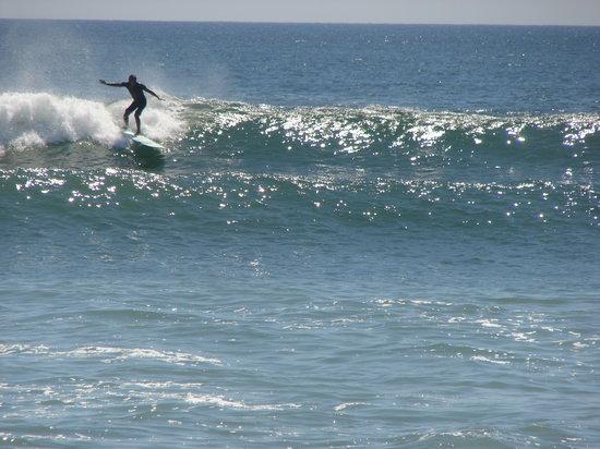 Aloha Surf School