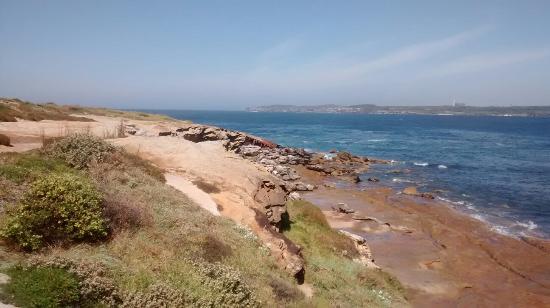 Henry Head Walking Track