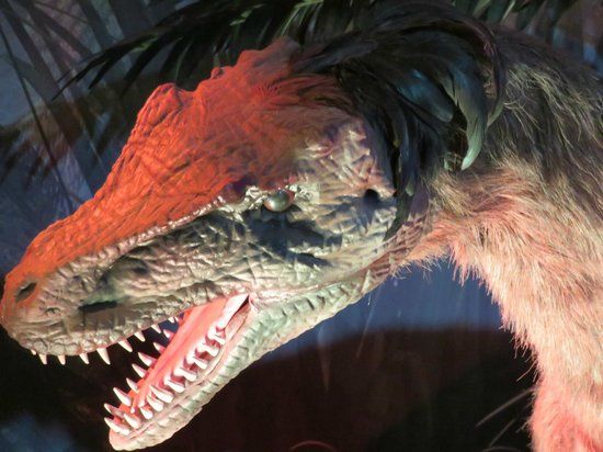 Extreme Dinosaurs