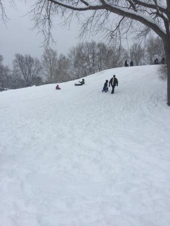 Centennial Park Champaign