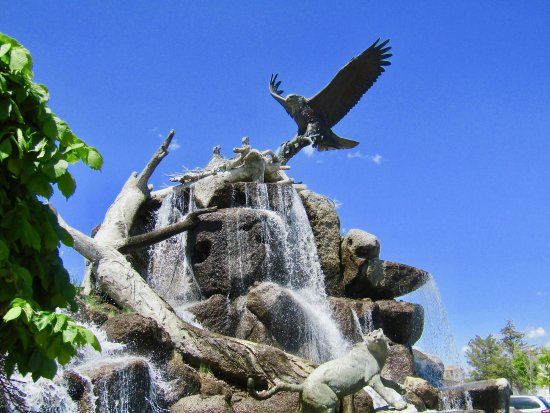Giant Eagle Waterfall Nest