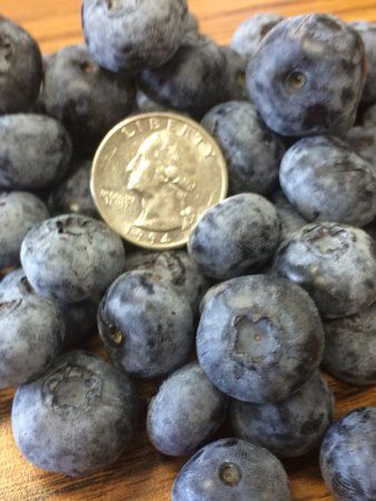 Bumbleberry Acres