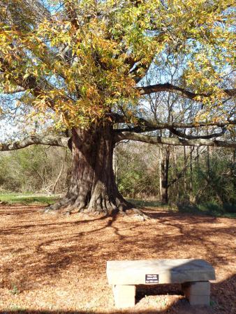 Heritage Park