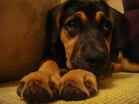 Sacks