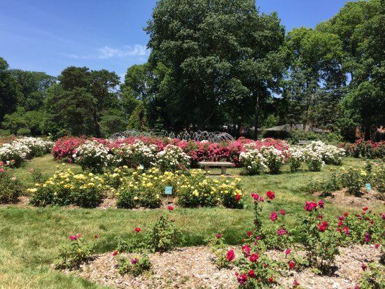 Whetstone Park
