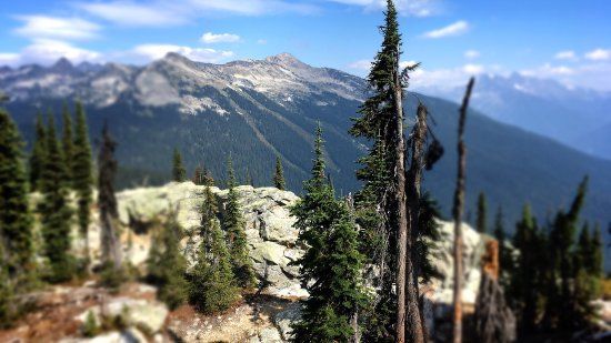 Mount Revelstoke National Park