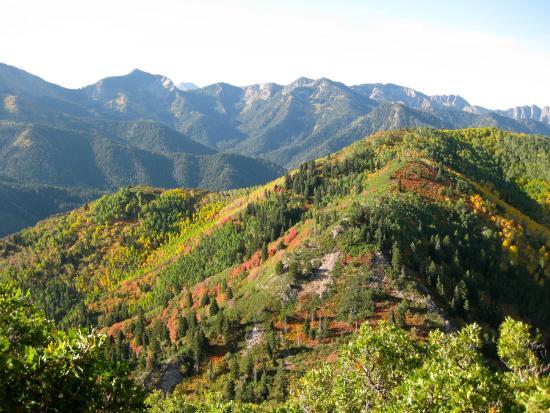 Mill Creek Canyon