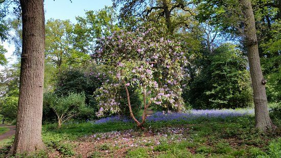 Lily Hill Park