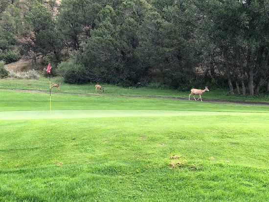 Raton Golf Course