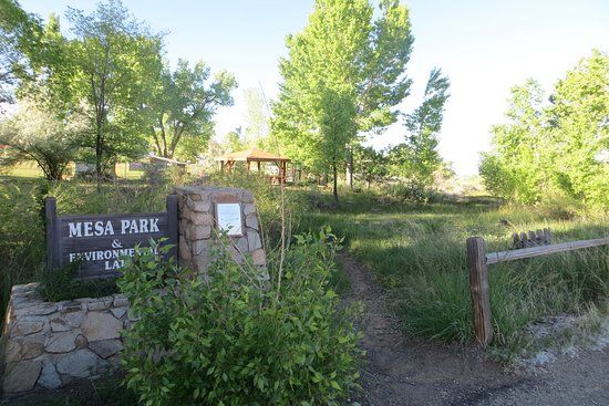 Mesa Park and Environmental Lab