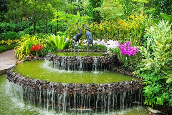 National Orchid Garden