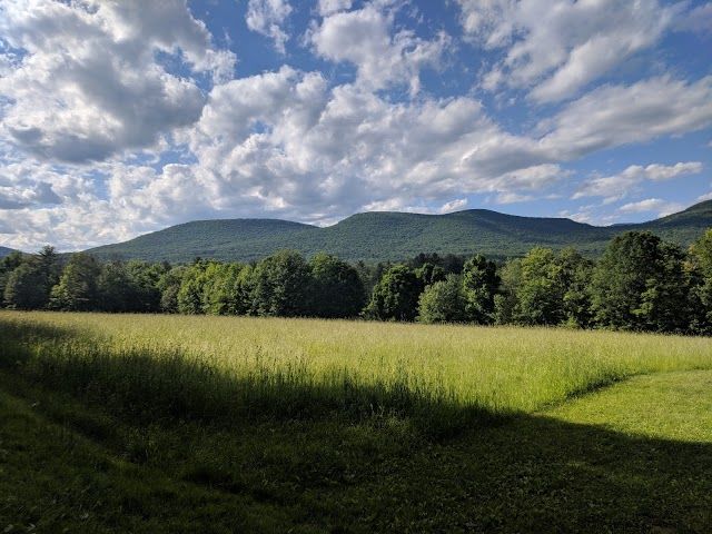 The Comeau Property