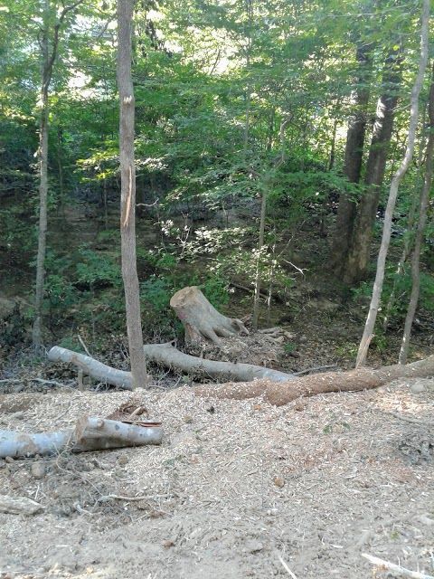 Umstead Park