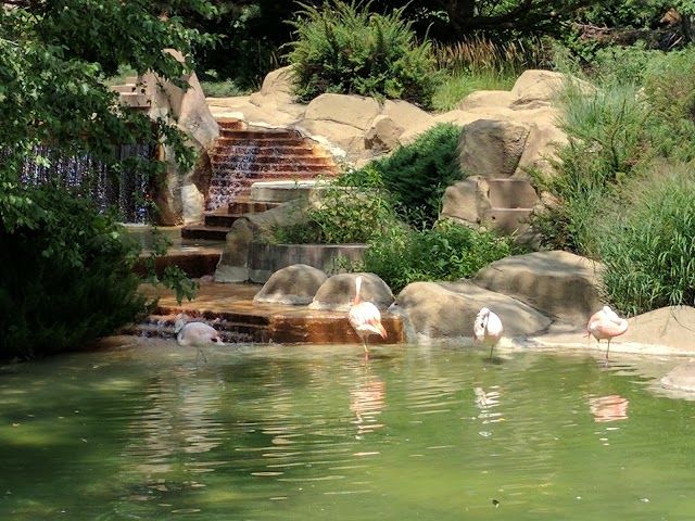 Como Regional Park