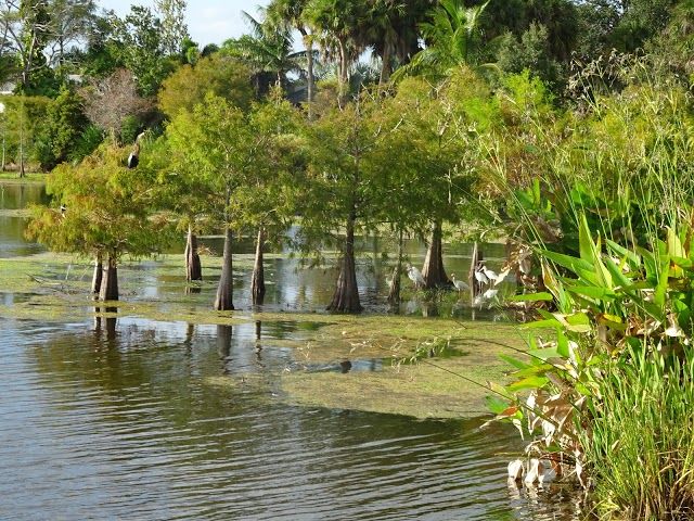 Woodstork Trail