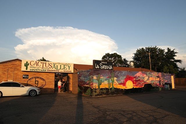 Cactus Alley