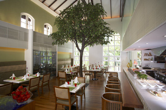 The Garden