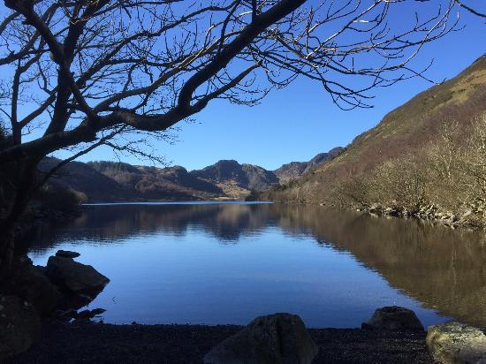 Gwydyr Forest