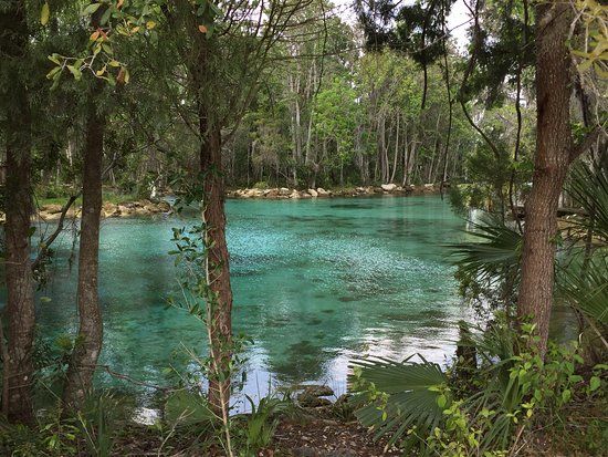 Crystal River National Wildlife Refuge