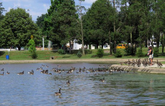 Kiwanis Lake