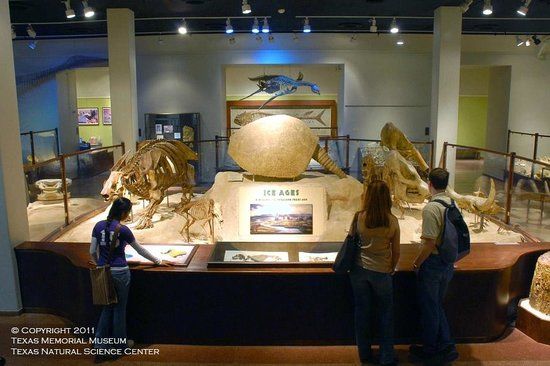 Texas Memorial Museum