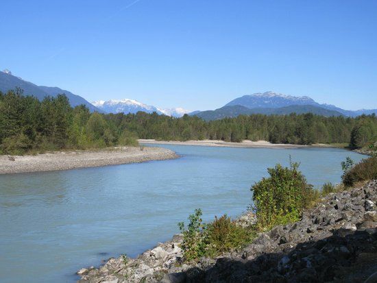 Brackendale Eagle Reserve