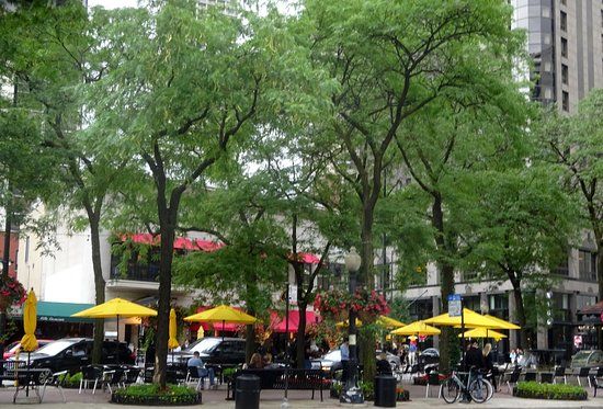 Mariano Plaza