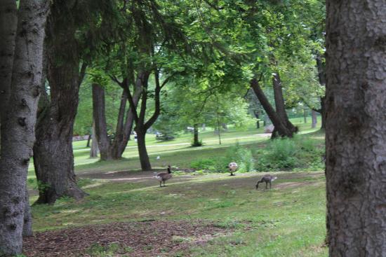 Bellevue Park