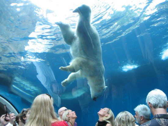 Pittsburgh Zoo and PPG Aquarium