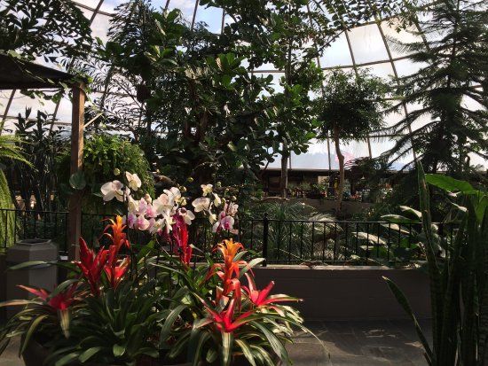 Reptile Gardens