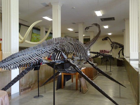 Museum of Geology