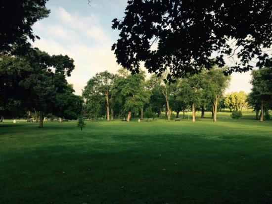 Elmwood Park