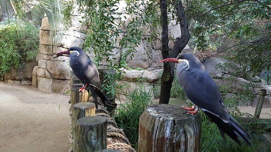 Fresno Chaffee Zoo