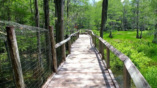 Tallahassee Museum