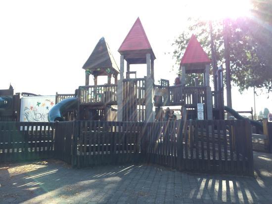 Dream Playground