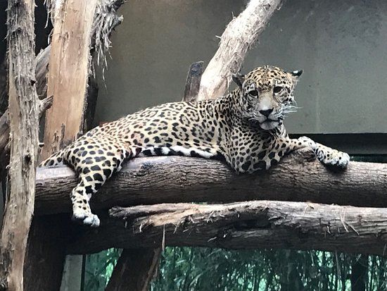 Mesker Park Zoo