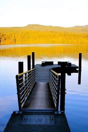 Lake Padden Park