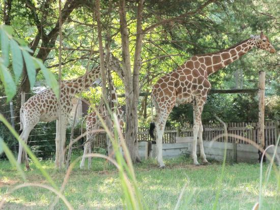 Topeka Zoo