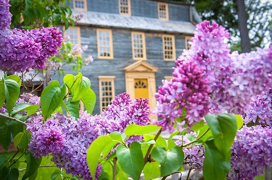 Tate House Museum