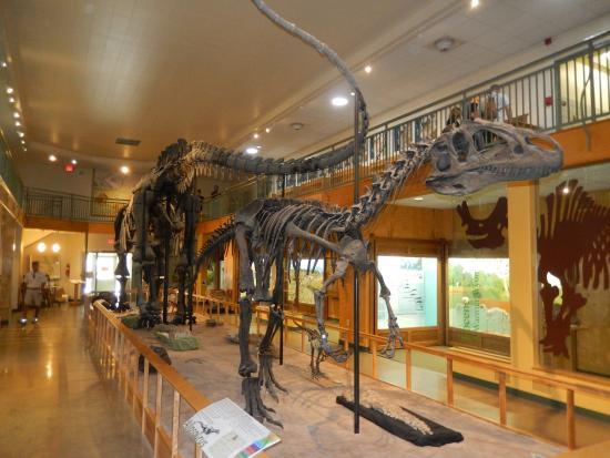 University of Wyoming Geological Museum