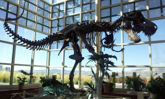 Natural History Museum
