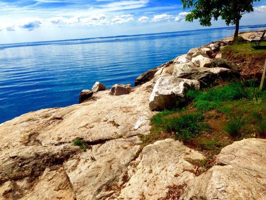Cove Island