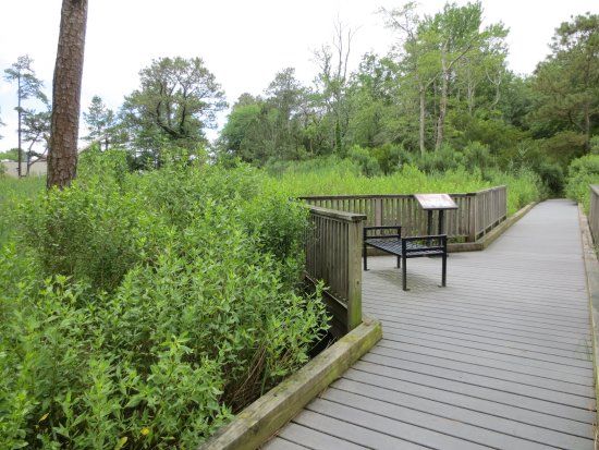 Bethany Beach Nature Center