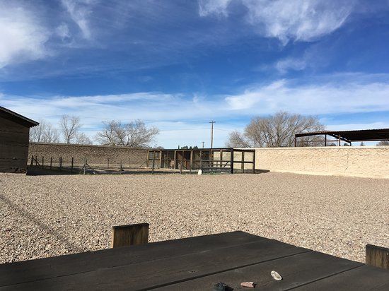 Judd Foundation