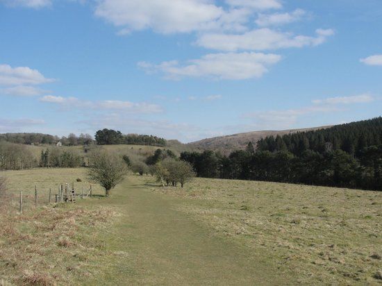Dolebury Warren