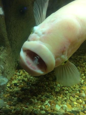Seaquarium