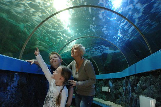 SeaQuarium