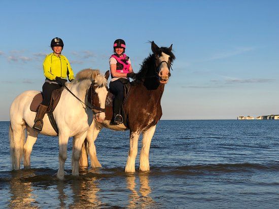 Studland Trekking Centre