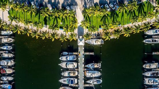 Coconut Grove